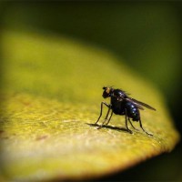 /album/alasnoco/photolia-a07-jpg/